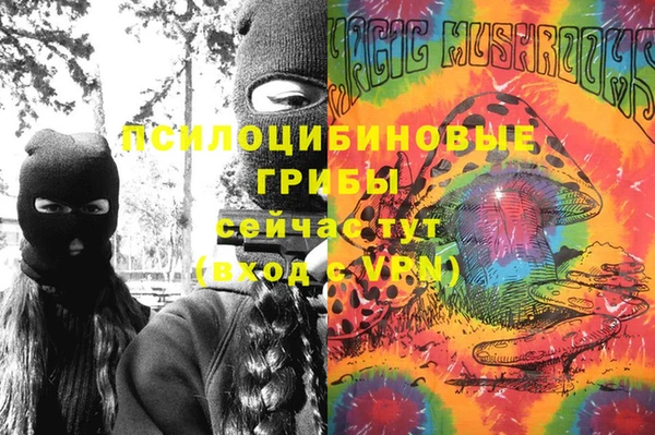 мет Бородино