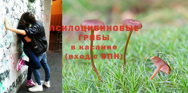 мяу мяу мука Бронницы