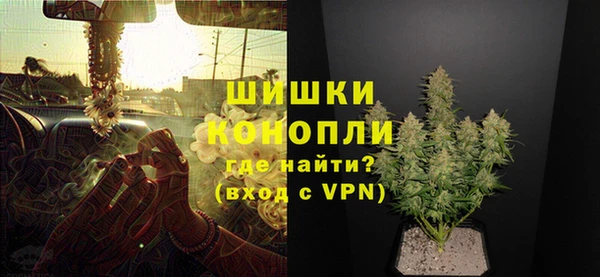 мет Бородино