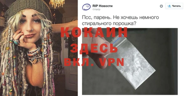 PSILOCYBIN Ростов