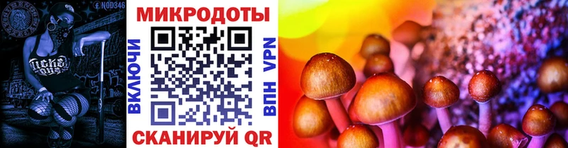 Псилоцибиновые грибы Cubensis  ссылка на мегу ONION  Кировград 
